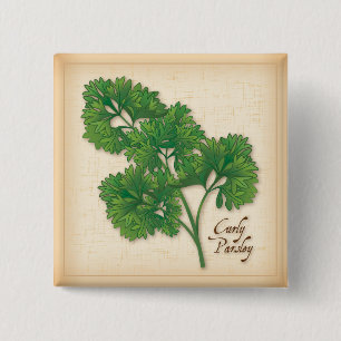Curly Parsley Herb Vierkante Button 5,1 Cm