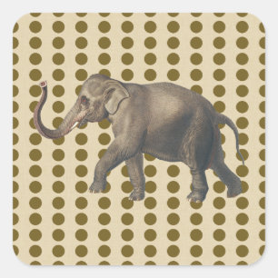 Curry Spice Moods Stippen met olifant Vierkante Sticker