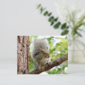 Cursief eekhoorndierlijk Briefkaart (Staand voorkant)