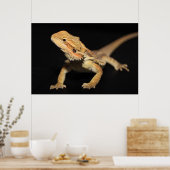 Cursief gebogen draak 3 poster (Keuken)