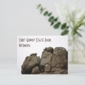 Curt Gowdy State Park Wyoming Briefkaart (Staand voorkant)