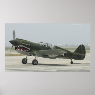 Curtis P40 Poster