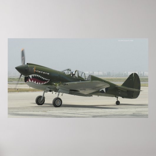 Curtis P40 Poster (Voorkant)