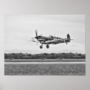 Curtiss P-40 Warhawk Fighter Air Plane Poster