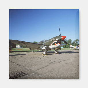 Curtiss P-40 Warhawk, op Minnesota CAF Air Show Magneet
