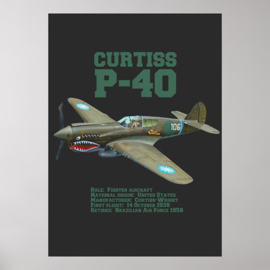Curtiss P-40 Warhawk | WW2-vliegtuig Poster (Voorkant)