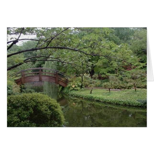 Curved Asian Bridge (Voorkant Horizontaal)