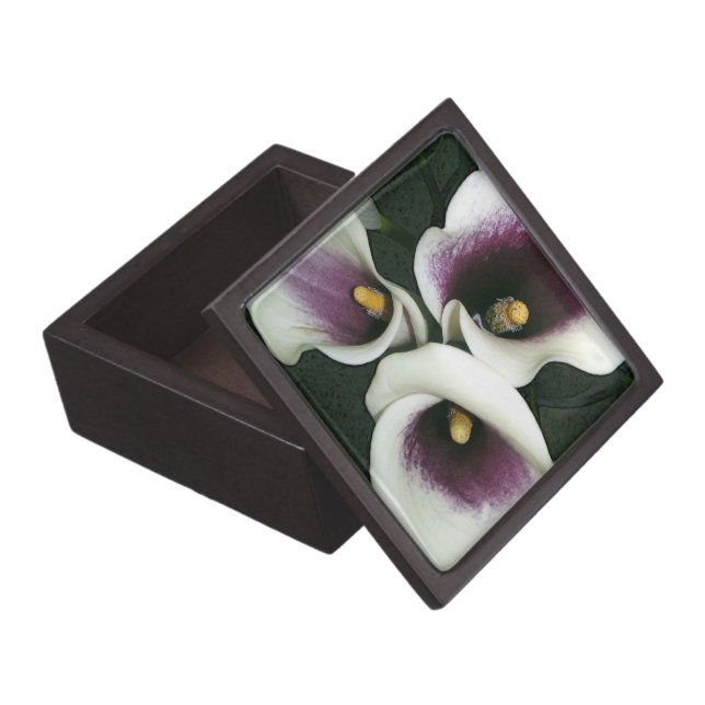 Curvy Callas Premium Bewaar Doosje (Geopend)