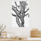 Curvy Tree in zwart-wit Poster kunst (Keuken)