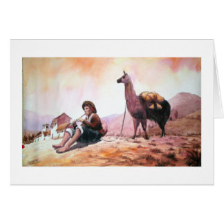 Cusco Peru Llama Afbeelding