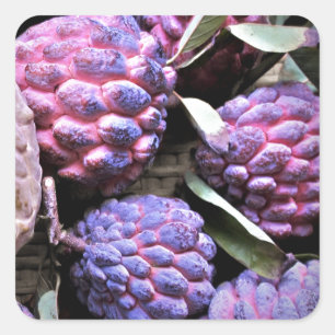 Custard Apple Cherimoya Vierkante Sticker