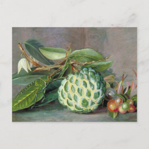 Custard Apple - Marianne North Briefkaart
