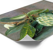 Custard Apple - Marianne North Poster (Hoek)