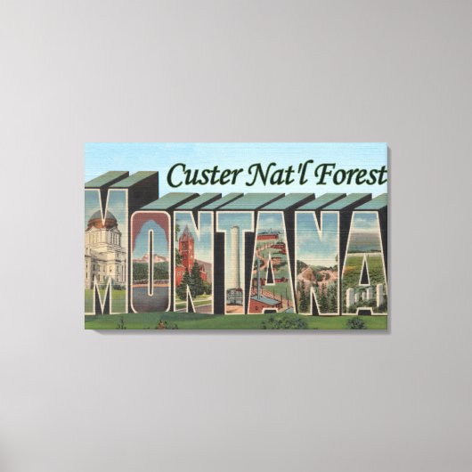 Custer Nat'l Forest, Montana Canvas Afdruk (Voorkant)