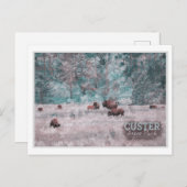 CUSTER SOUTH DAKOTA - HERD OF BISON WATERVERF BRIEFKAART (Voorkant / Achterkant)