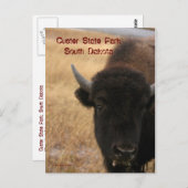 Custer State Park, South Dakota Briefkaart (Voorkant / Achterkant)