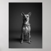 Custom 4K Black & White Pet Portrait Poster (Voorkant)