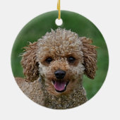 Custom Abrikoos Poodle Dog Foto Keramisch Ornament (Achterkant)