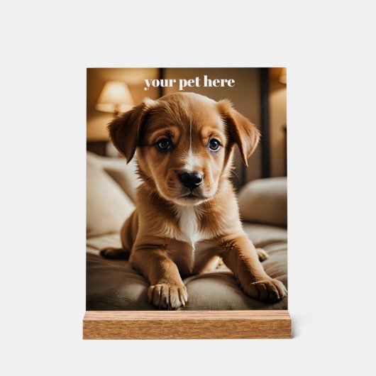 Custom Acryl Bord (Voorkant)