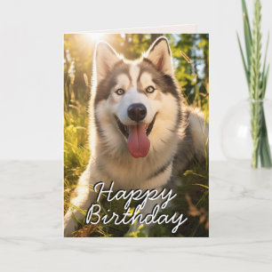 Custom Alaskan Malamute Happy Birthday Kaart