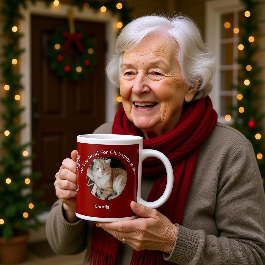 Custom All You Need Cat Photo Specialty Mug Extra Grote Beker