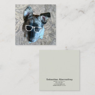 Custom Animal Care Beroep Voeg uw foto toe Vierkante Visitekaartje
