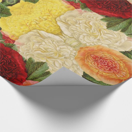 Custom Antiek  Rood Wit Roze Rozen Cadeaupapier (Hoek)