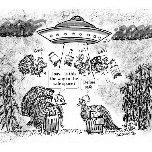 Custom apron design with a house schort