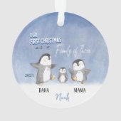 Custom Baby's Schattigee eerste kerst Ornament (achterkant)