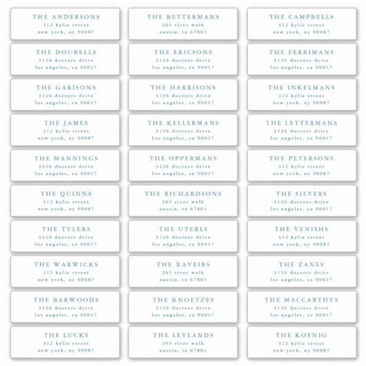 Custom Blue Individual Editable Address Stickers (Voorkant)