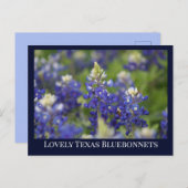 Custom Blue Spring Bluebonnet Texas State Flower Briefkaart (Voorkant / Achterkant)