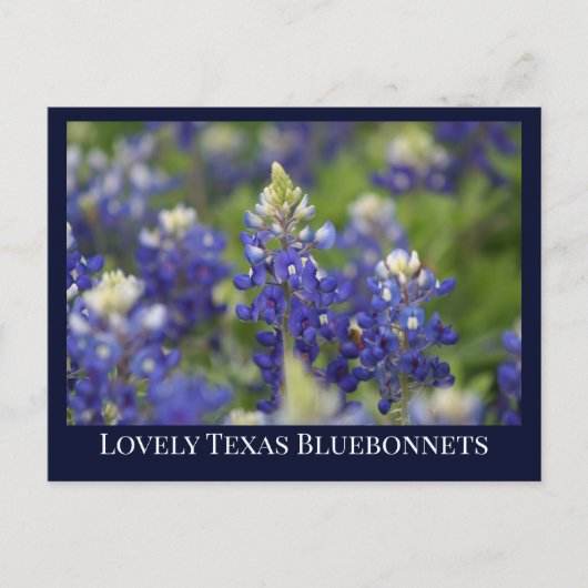 Custom Blue Spring Bluebonnet Texas State Flower Briefkaart (Voorkant)