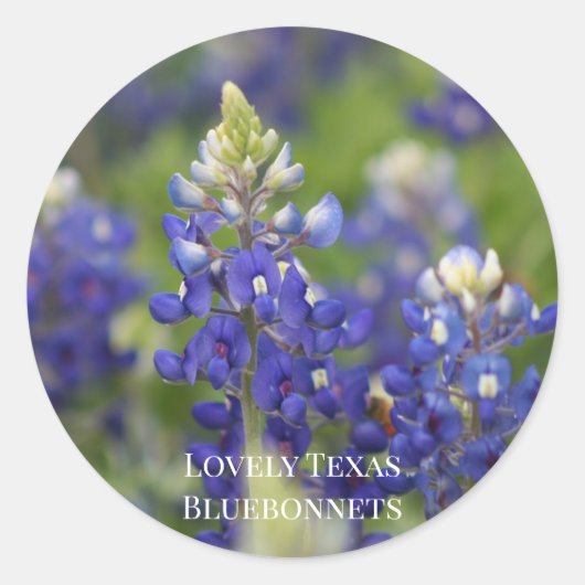 Custom Blue Spring Bluebonnet Texas State Flower Ronde Sticker (Voorkant)