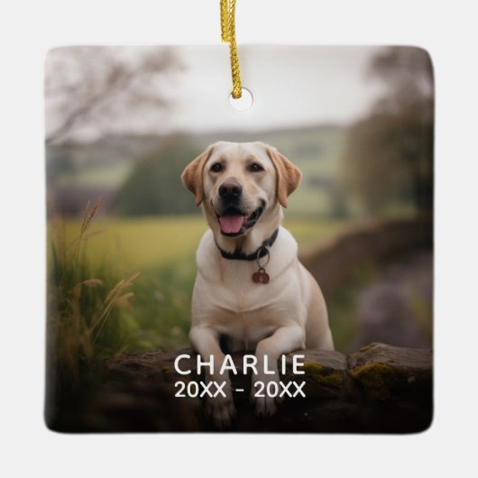 Custom Buffalo Pset Photo Pet Memorial Keramisch Ornament (Voorkant)