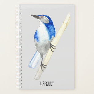 Custom California Scrub Jay