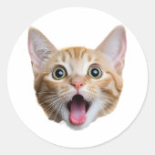 Custom Cat Face Stickers Personalized Face Photo (Devant)