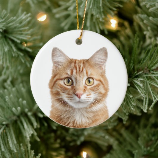 Custom Cat Photo Christmas Ornament (Boom)