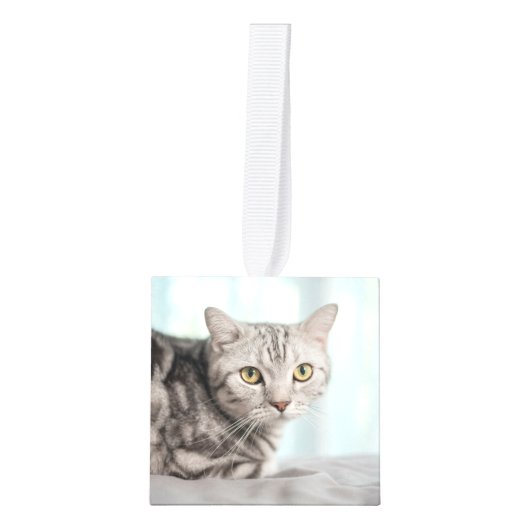 Custom Cat Photo Memorial Pet Christmas Kubus Ornament (Voorkant)