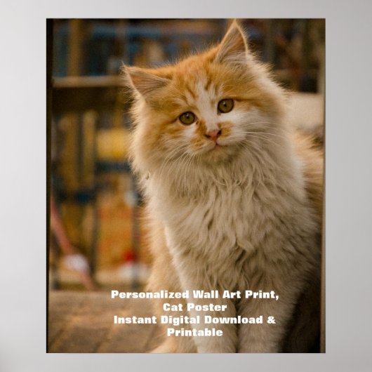 Custom Cat Poster - Download digitaal dierenportre (Voorkant)