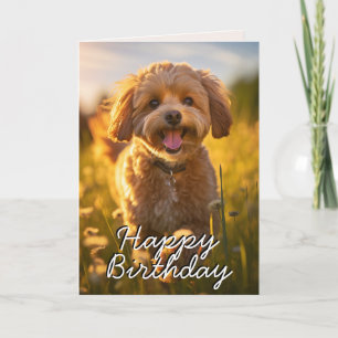 Custom Cavoodle/Cavapoo Happy Birthday Kaart