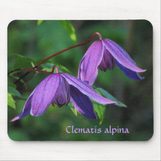 Custom Clematis Mousepad Muismat
