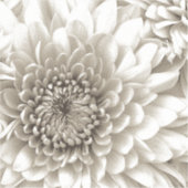 Custom-Cut Vinyl Sticker (Recto)