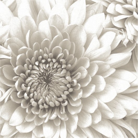 Custom-Cut Vinyl Sticker (Recto)