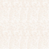 Custom-Cut Vinyl Sticker (Recto)