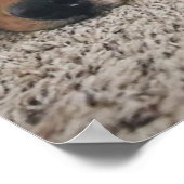 Custom Deux laboratoires et une affiche de chat (Coin)