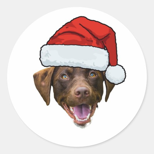 Custom Dog Face Photo Santa Hat Christmas Ronde Sticker (Voorkant)