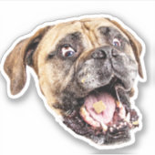 Custom Dog Face Vinyl Stickers (Voorkant)