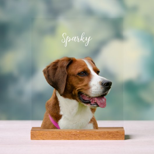 Custom Dog Name Photo Memorial Portrait (Neutre)