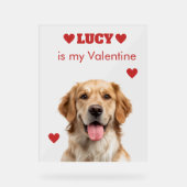 Custom Dog Photo Acrylic Sign (Recto)