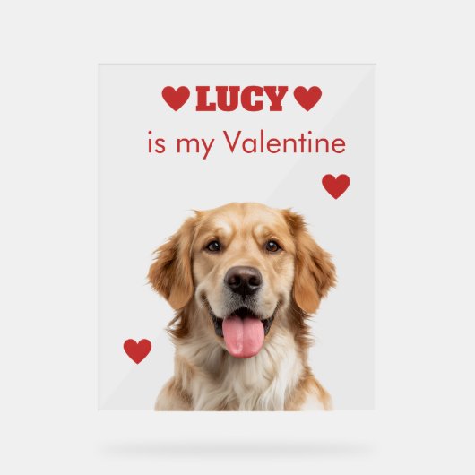 Custom Dog Photo Acrylic Sign Acryl Bord (Voorkant)